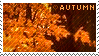 Stamp of orange leaves saying autumn