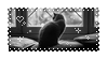 Stamp of black cat sitting
