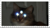 Stamp of tabby cat with third eye on forehead