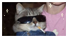 Stamp of grey tabby cat wearing sunglasses