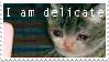 Stamp with crying tabby cat saying I am delicate