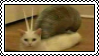 Stamp of a cat photoshopped as a snail