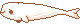 Beluga pixel