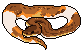 Brown and white snake pixel